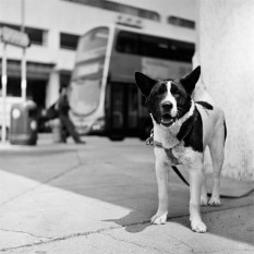 © Ap Lei Chau © Ap Lei Chau
