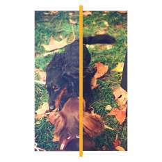 RETOUCHE PHOTOSHOP SIMPLE